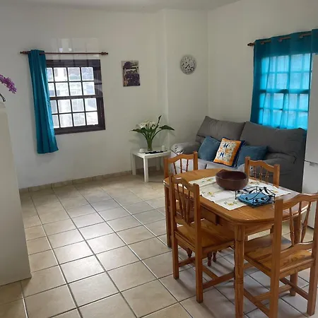 Tabaiba טמאדוסטה